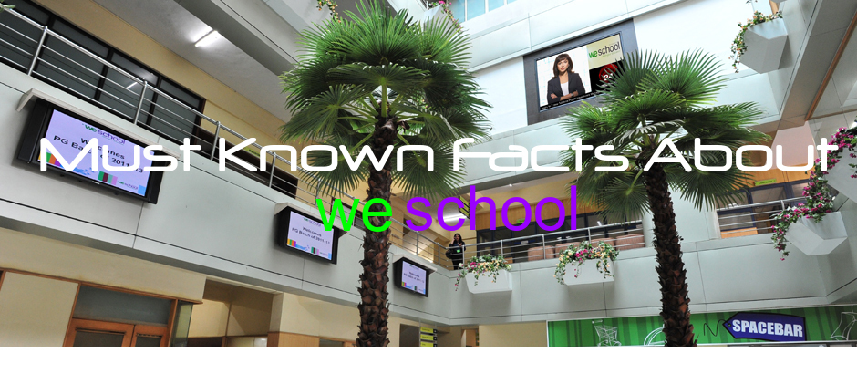 Everything you need to know about We School