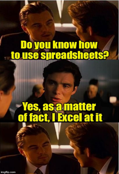 excel skills